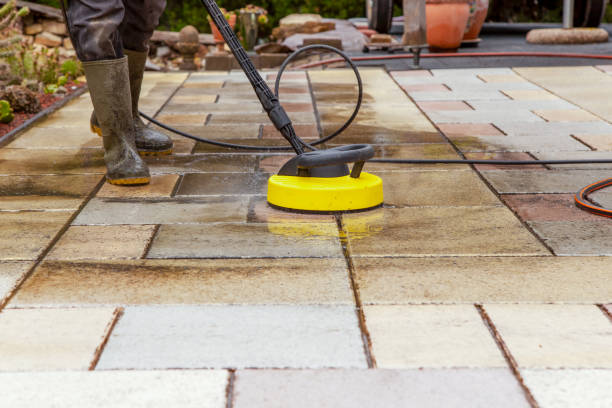 Animal Enclosure Cleaning in Nazareth, PA
